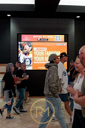 100426_ANAHEIM_DUCKS_RMR12253