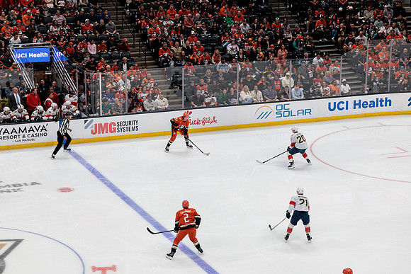 100426_ANAHEIM_DUCKS_RMR17005