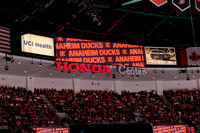 100426_ANAHEIM_DUCKS_RMR17870