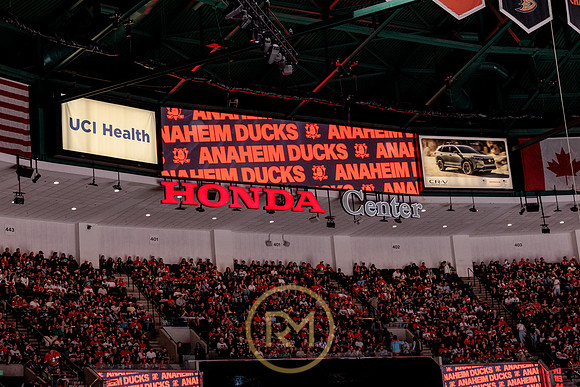100426_ANAHEIM_DUCKS_RMR17870