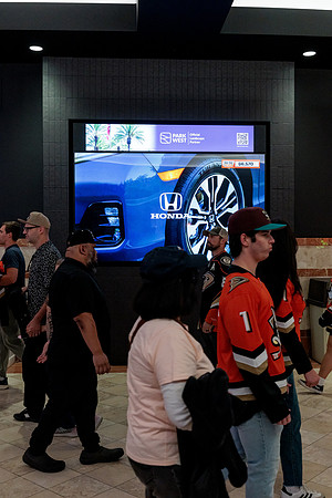 100426_ANAHEIM_DUCKS_RMR13504