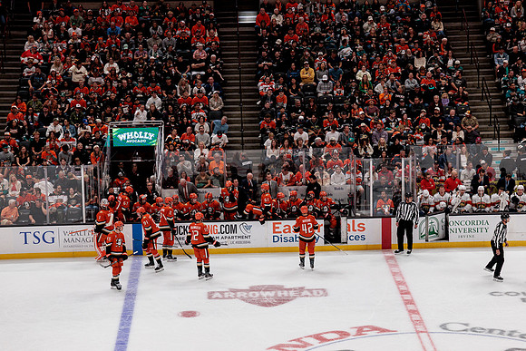100426_ANAHEIM_DUCKS_RMR19489