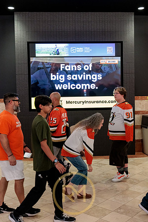 100426_ANAHEIM_DUCKS_RMR11807