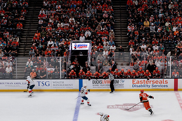 100426_ANAHEIM_DUCKS_RMR10112