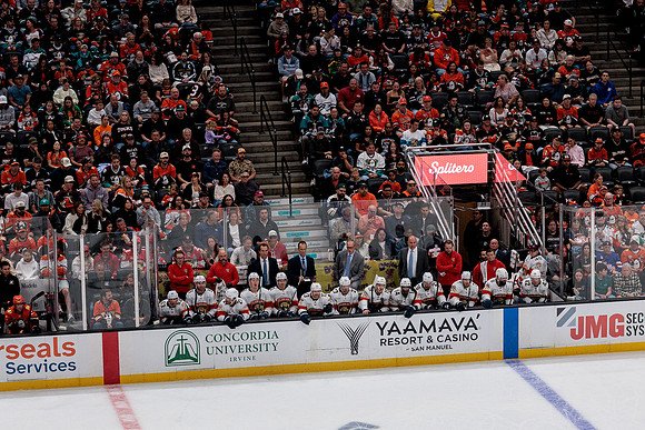100426_ANAHEIM_DUCKS_RMR18838