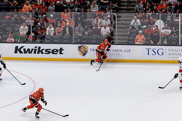 100426_ANAHEIM_DUCKS_RMR10237
