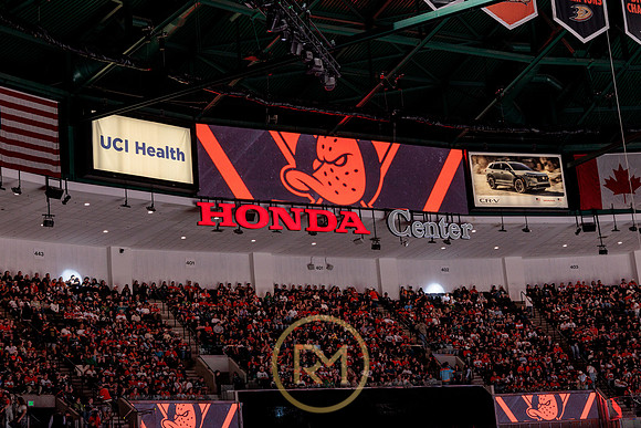 100426_ANAHEIM_DUCKS_RMR17837