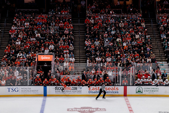 100426_ANAHEIM_DUCKS_RMR18914