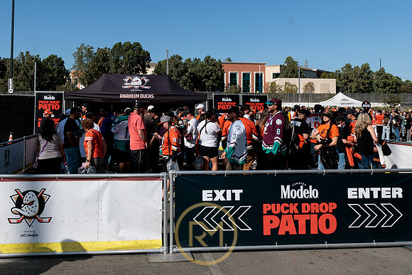 100426_ANAHEIM_DUCKS_RMR11327