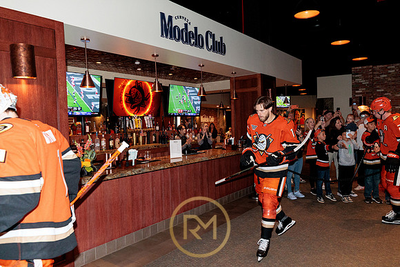 100426_ANAHEIM_DUCKS_RMR15121