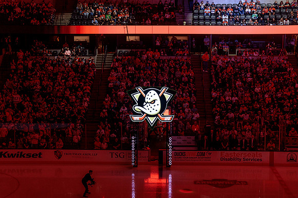 100426_ANAHEIM_DUCKS_RMR16497