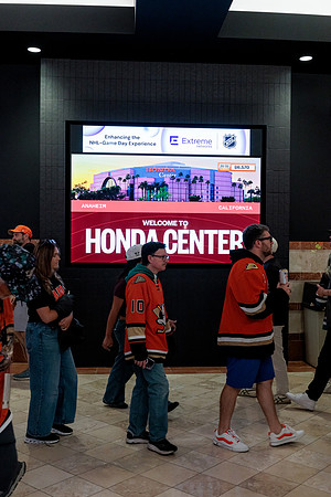 100426_ANAHEIM_DUCKS_RMR13392