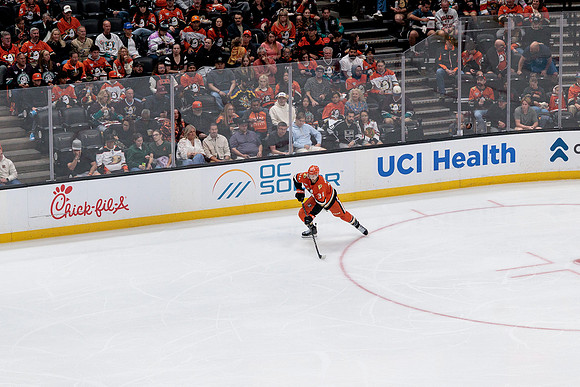 100426_ANAHEIM_DUCKS_RMR11963