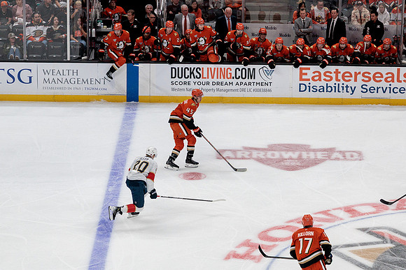 100426_ANAHEIM_DUCKS_RMR17667