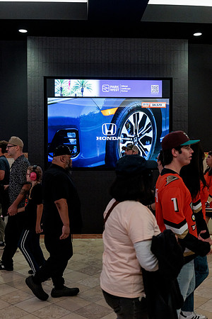 100426_ANAHEIM_DUCKS_RMR13508