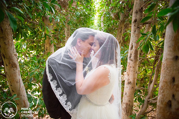 WEDDING_111415_01130
