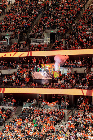 100426_ANAHEIM_DUCKS_RMR16698