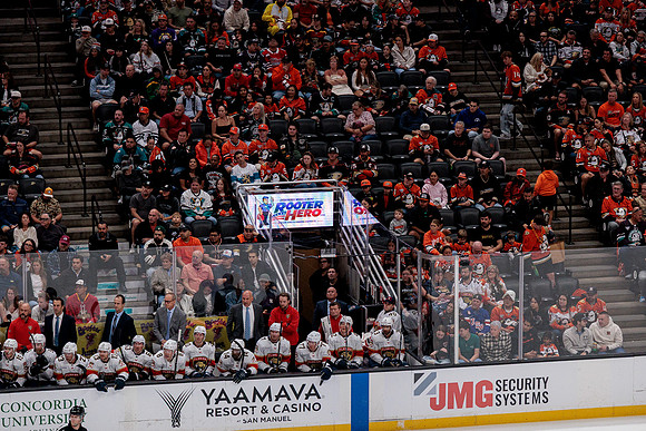 100426_ANAHEIM_DUCKS_RMR10125