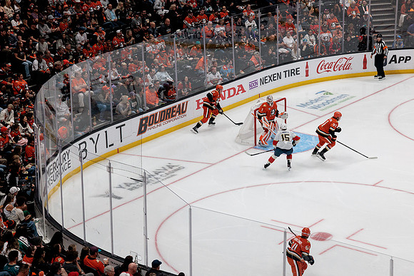 100426_ANAHEIM_DUCKS_RMR17110