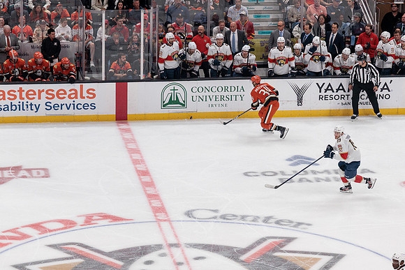 100426_ANAHEIM_DUCKS_RMR11446