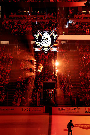 100426_ANAHEIM_DUCKS_RMR16410