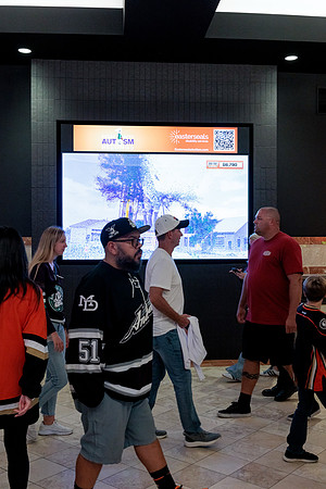 100426_ANAHEIM_DUCKS_RMR14261