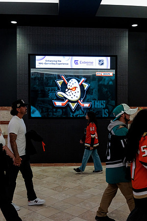 100426_ANAHEIM_DUCKS_RMR13328