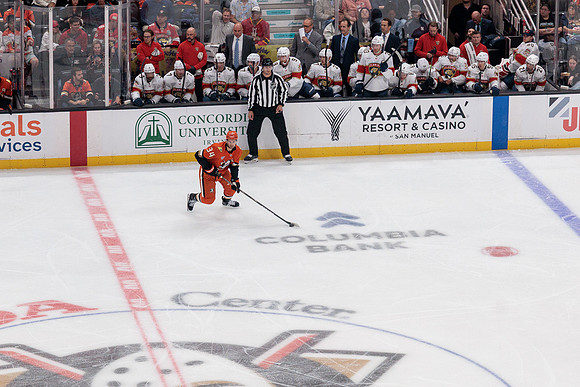 100426_ANAHEIM_DUCKS_RMR11542