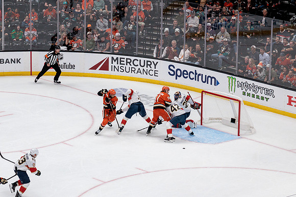 100426_ANAHEIM_DUCKS_RMR19042