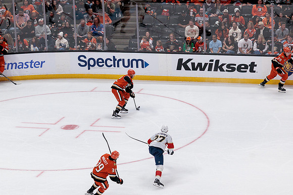 100426_ANAHEIM_DUCKS_RMR18881