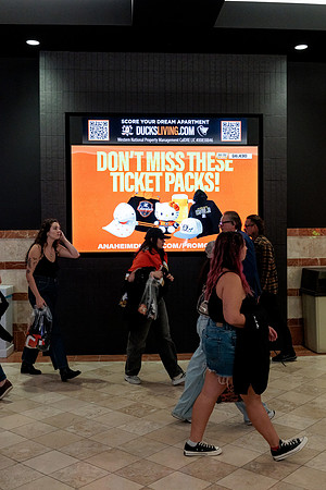 100426_ANAHEIM_DUCKS_RMR12948