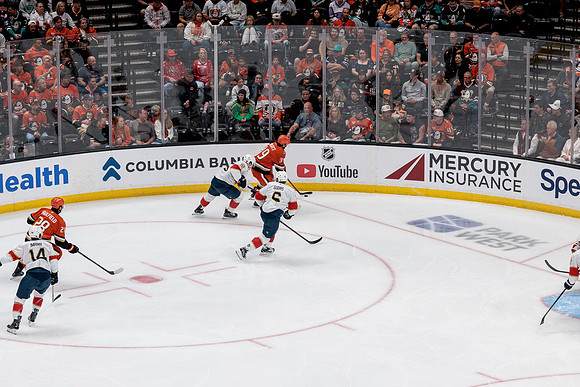 100426_ANAHEIM_DUCKS_RMR17718