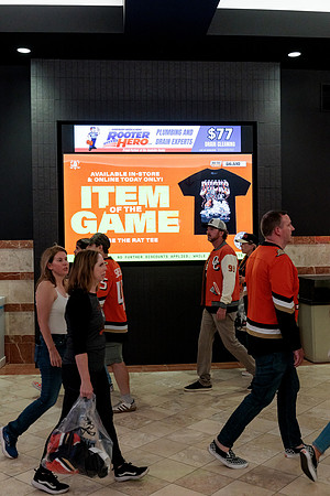 100426_ANAHEIM_DUCKS_RMR13036