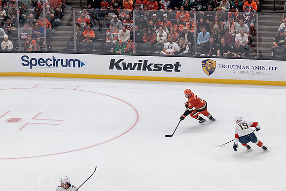100426_ANAHEIM_DUCKS_RMR11705