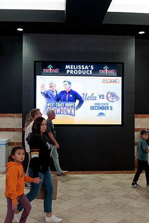 100426_ANAHEIM_DUCKS_RMR15044