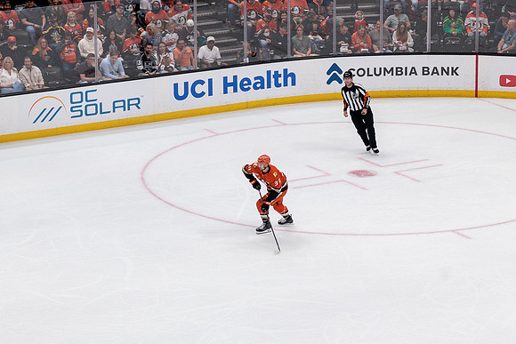100426_ANAHEIM_DUCKS_RMR12548