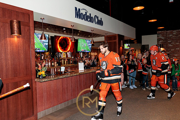 100426_ANAHEIM_DUCKS_RMR15123
