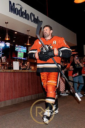 100426_ANAHEIM_DUCKS_RMR15200