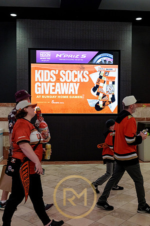 100426_ANAHEIM_DUCKS_RMR11922