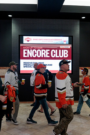 100426_ANAHEIM_DUCKS_RMR13716