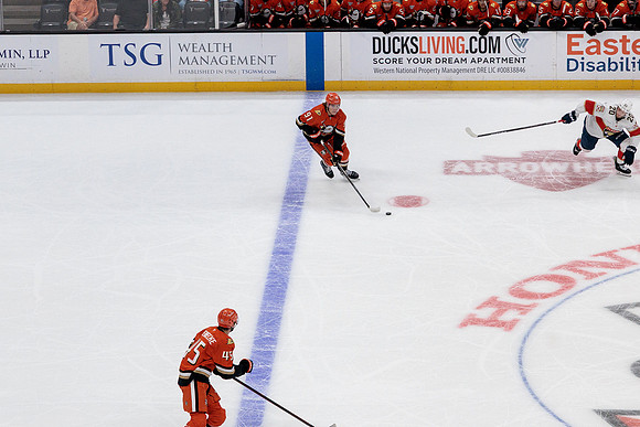 100426_ANAHEIM_DUCKS_RMR19646