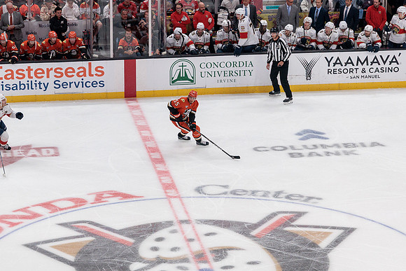 100426_ANAHEIM_DUCKS_RMR11610