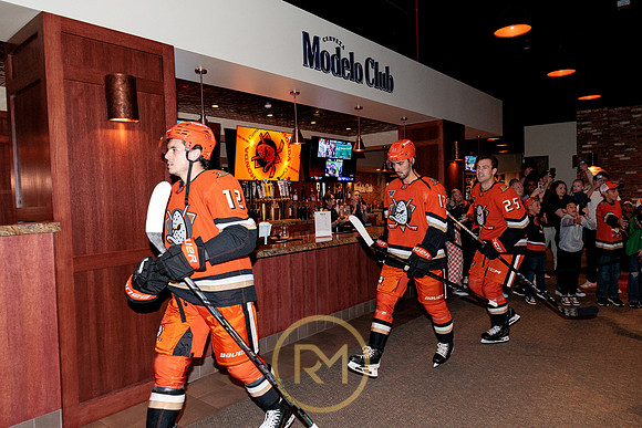 100426_ANAHEIM_DUCKS_RMR15144