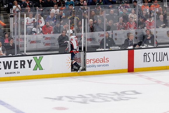 031125_ANAHEIM_DUCKS_1348