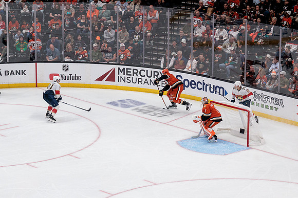100426_ANAHEIM_DUCKS_RMR12188