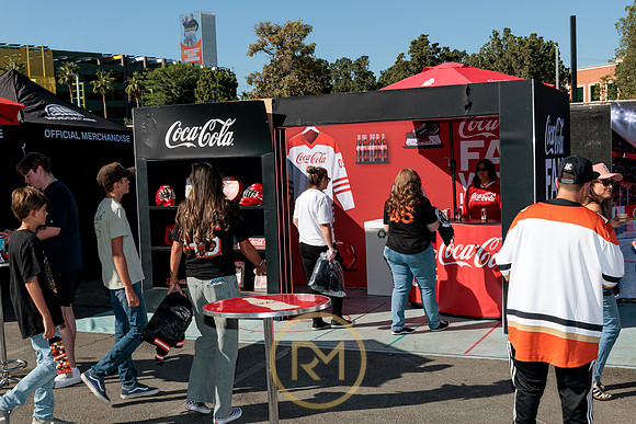 100426_ANAHEIM_DUCKS_RMR11363