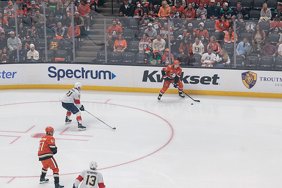 100426_ANAHEIM_DUCKS_RMR10927