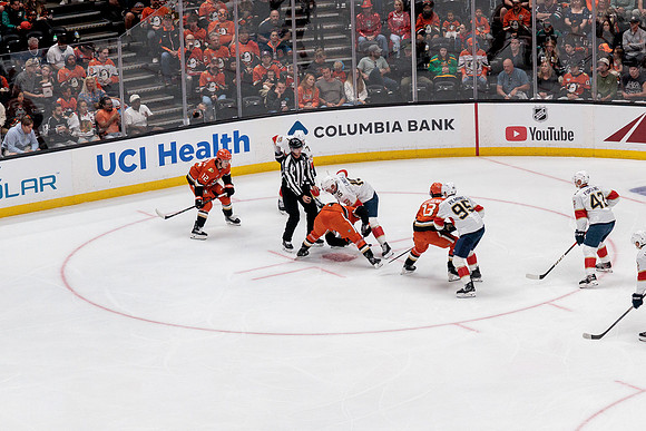 100426_ANAHEIM_DUCKS_RMR17904