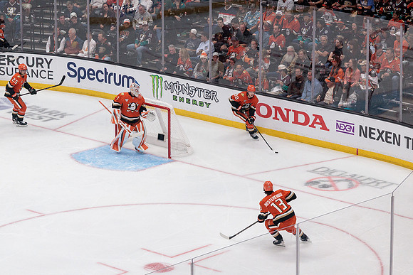 100426_ANAHEIM_DUCKS_RMR11411