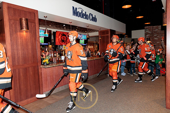 100426_ANAHEIM_DUCKS_RMR15171